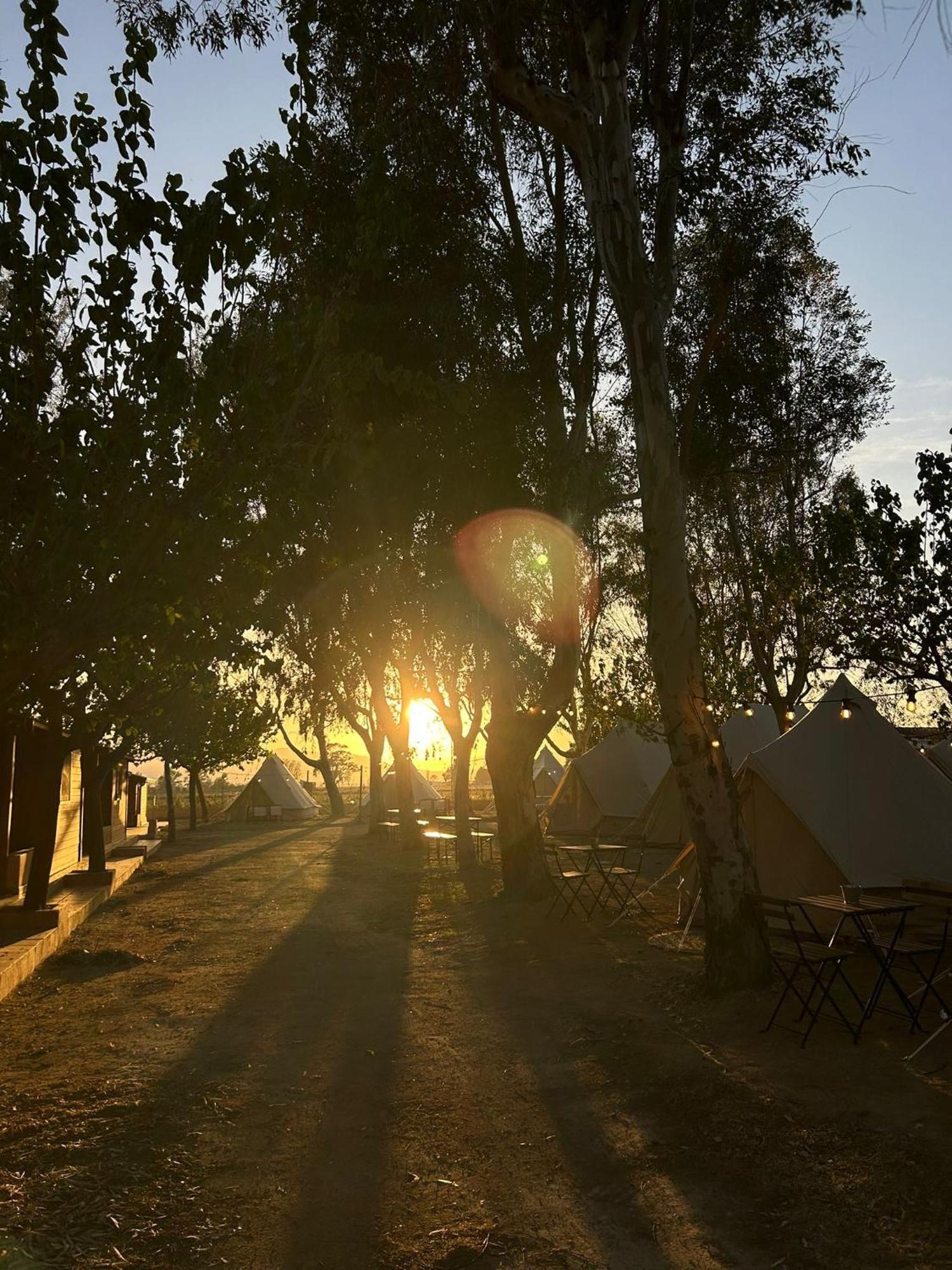 Camping Delta Natura La Tancada Amposta Exteriér fotografie